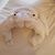 Misty Guthrie D'Ambrosio's profile image