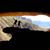Sandra O. Madrid's profile image