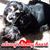 Linda Ray's profile image