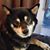 Mary Ann Haag's profile image