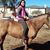 Angelica Maria Campa's profile image