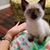 Sandra Spires's profile image