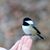 Dawn Eisner's profile image