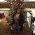 Juanita Morris's profile image
