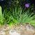 Cathleen Rachel's profile image