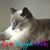 Linda Fuller's profile image