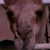 Jeff Hillman's profile image