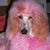 Lulu Pink's profile image