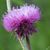 Barbara Kelly's profile image