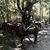 Mark Anthony Lajeunesse's profile image
