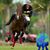 Lucas Vigier's profile image