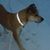 Betsy Dunton's profile image