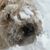Alison Hunt-Thompson's profile image
