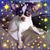 KathyMike Brown's profile image