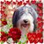 Sheree Girty's profile image