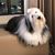 Linda Patrick's profile image