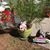 Sharon Wright Guswiler's profile image