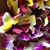 Maria Davis Marella's profile image