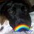 Heather Johnson's profile image