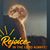 Rox Anne Gallegos's profile image