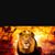 Audel Aguilar's profile image