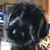 Dale Busick's profile image