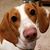 Teresa McCown Rath's profile image