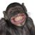 Gerald Gauldin's profile image