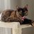 Kathy Christy's profile image
