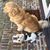 Amy Elizabeth Marceaux's profile image