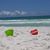 Lisa Johnston Doolittle's profile image