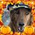 Jan Wasylenchuk Maraj's profile image