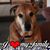 Lorrie Fess Jackson's profile image