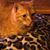 Kristin Marie Stupi's profile image