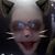 Wendy Pattee's profile image