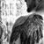 Seth Sanger's profile image
