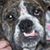 Gordon Repsher's profile image
