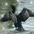Debra Cardosi's profile image