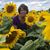 Linda Rowe's profile image