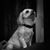 Susan Ingrassia's profile image
