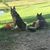 Brandi Collins's profile image