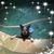 Tami Harter's profile image