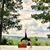 Elaine Ewing's profile image