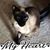 Kathe Brayman Hawver's profile image