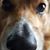 Amanda Graham's profile image
