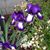 Debbie Perkins Raymer's profile image
