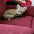 Candace Stetter Redden's profile image