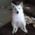Annette Scolaro's profile image