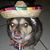 Jessica Mauras's profile image