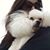 Susan Jahss Angle's profile image